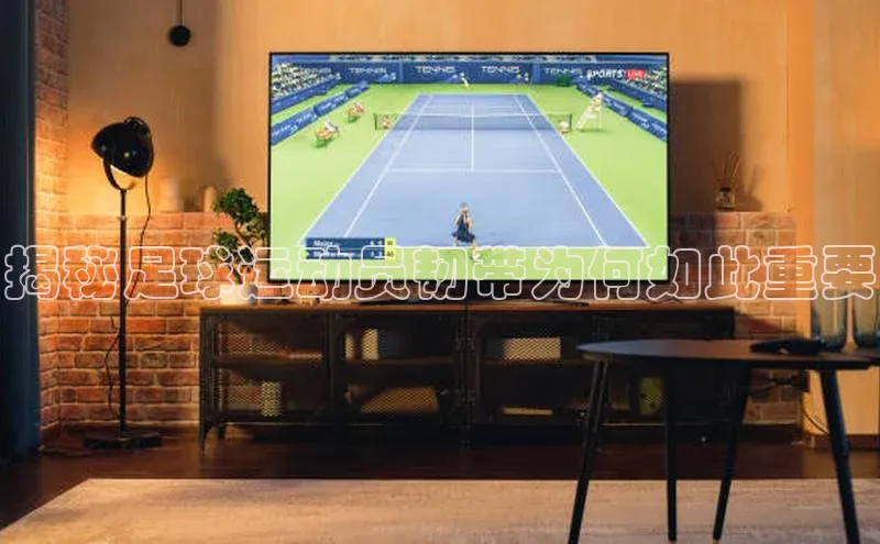 加拿大28圈注册链接雷柏科技