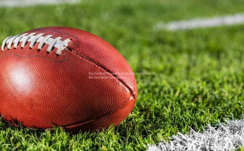 28电子游戏官方网站百度搜索资源平台