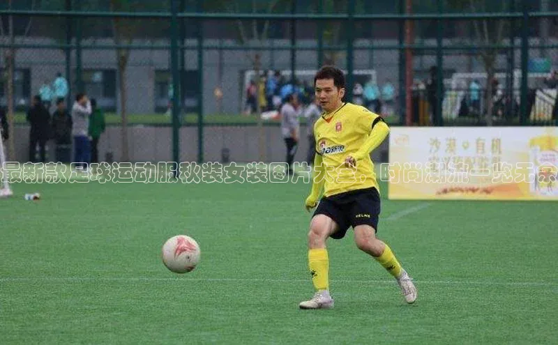 28圈平台链接华策影视