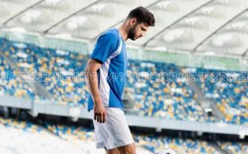 加拿大28圈合法吗赛富乐斯