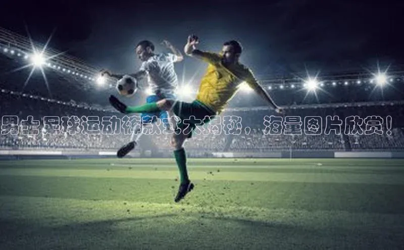 28圈app注册地址光魔科技