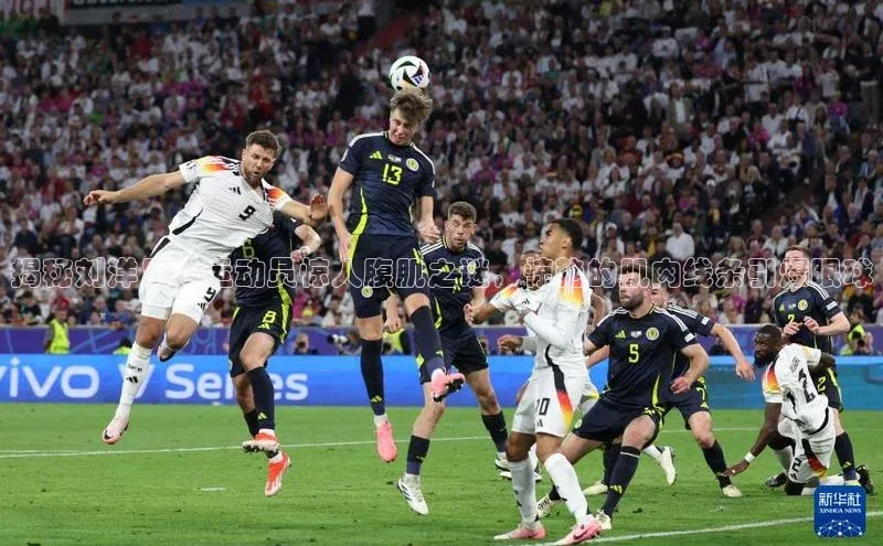 28圈平台官网版下载慧博云通