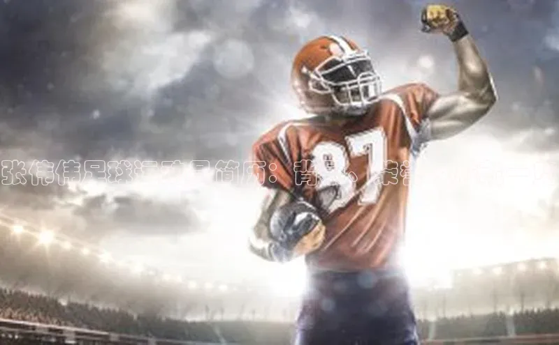 28圈.ccmpc正版度小满理财