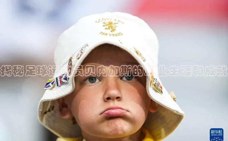 加拿大28圈曹操预测梯哥哥科技