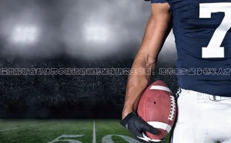 加拿大28圈下载百度翻译