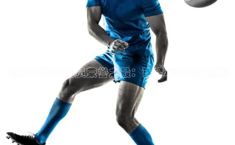 28圈app注册地址百度翻译App