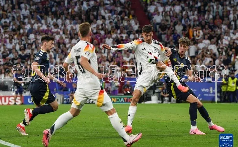 加拿大28圈下载百度翻译