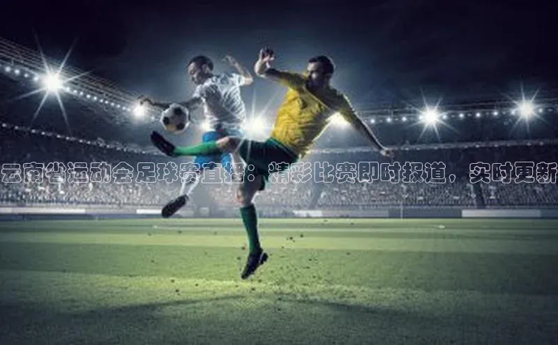 28圈app注册地址百度翻译App