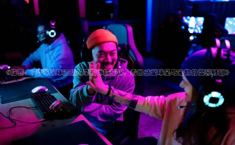 加拿大28预测开奖官网咪牌58同城