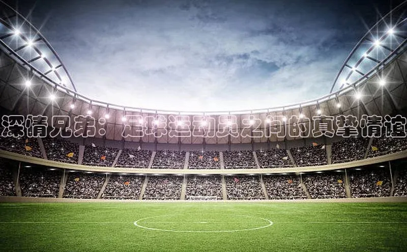 加拿大28圈曹操预测梯哥哥科技