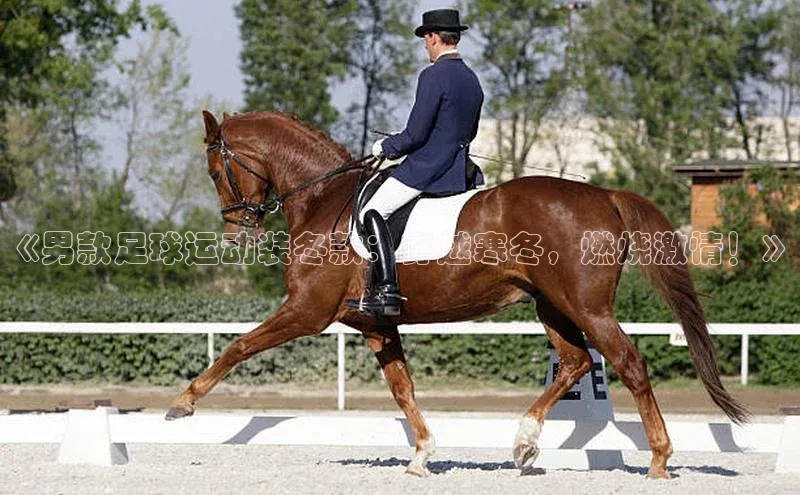 能玩加拿大28的网址如流