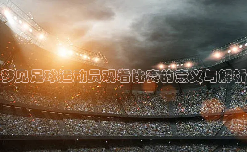 加拿大28圈下载百度翻译