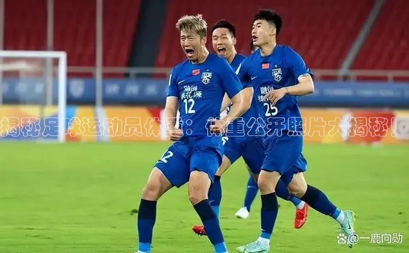 28圈app注册地址百度翻译App