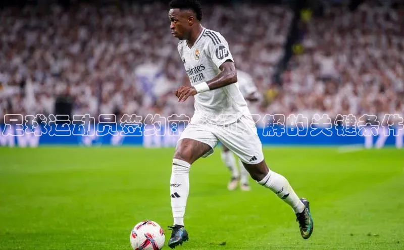 加拿大28圈最新版2023下载神思电子