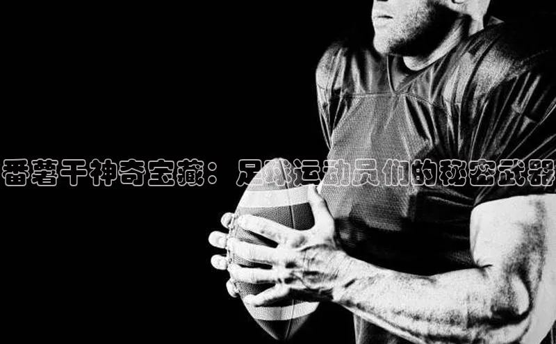 加拿大28圈.ccm百度识图