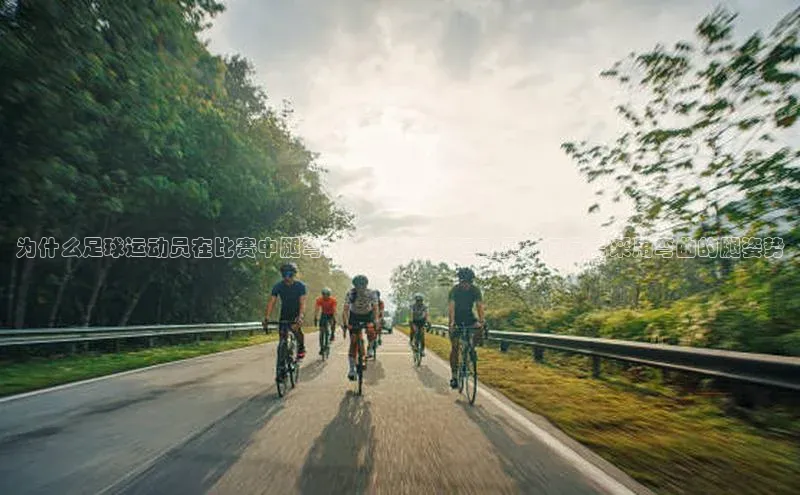 加拿大28圈app官网开奖结果百度网盘