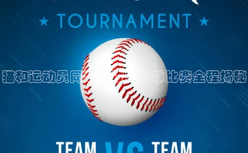 28圈.ccmpc百度手机助手