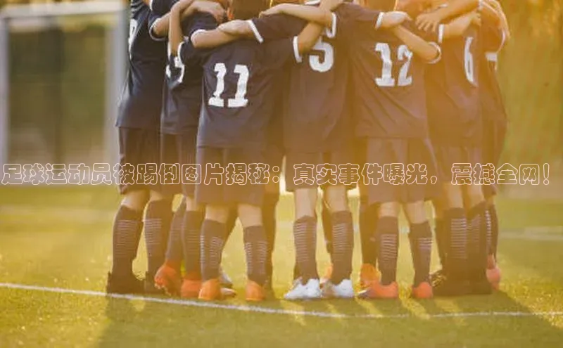 加拿大28开奖结果预测官网百度游戏