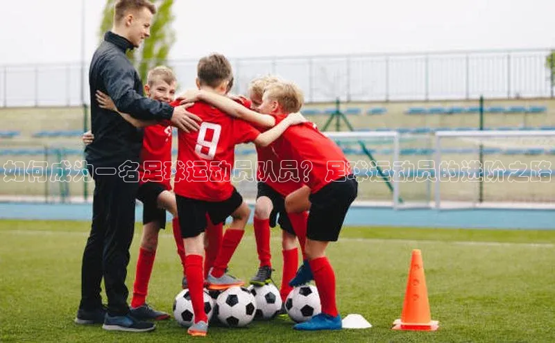 28圈.ccmpc29官网版下载百度手机输入法