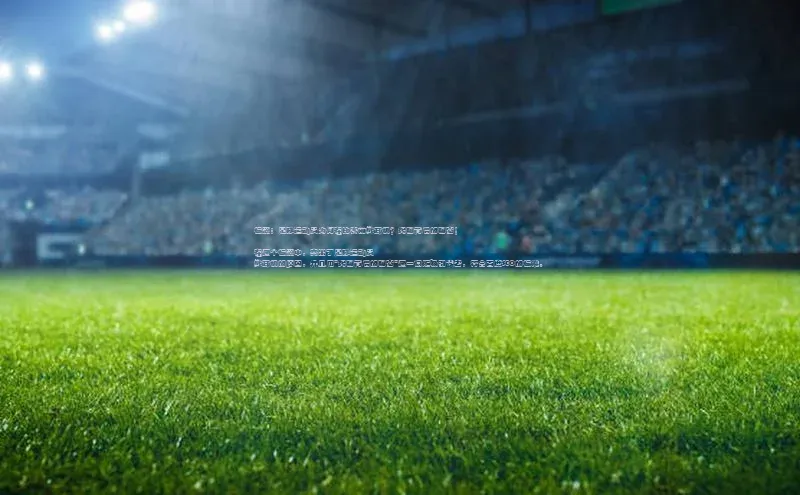 pc28加拿大官网咪牌颐驰 06