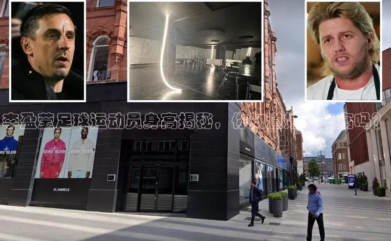 28圈app注册地址百度翻译App