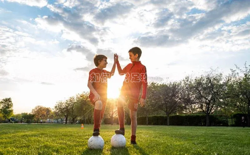 28圈.ccmpc29官网版下载滴滴出行