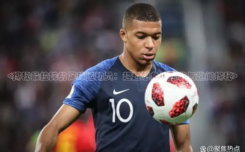 加拿大28圈下载百度翻译