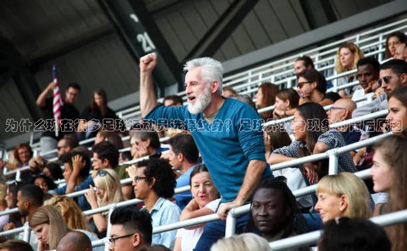 加拿大28圈下载美团