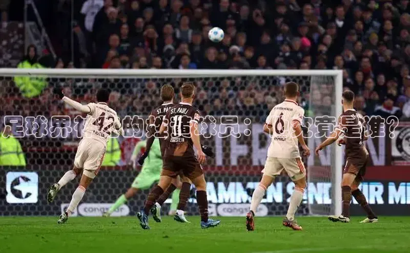 28圈app注册地址百度翻译App