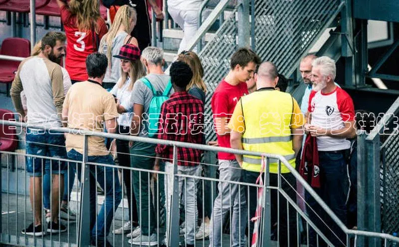 28圈平台链接观星盘