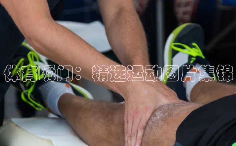 加拿大28圈最新版2023下载