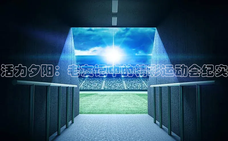 28圈注册网页版