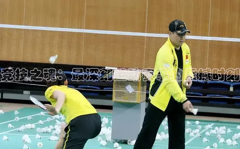 加拿大28圈最新版2023下载