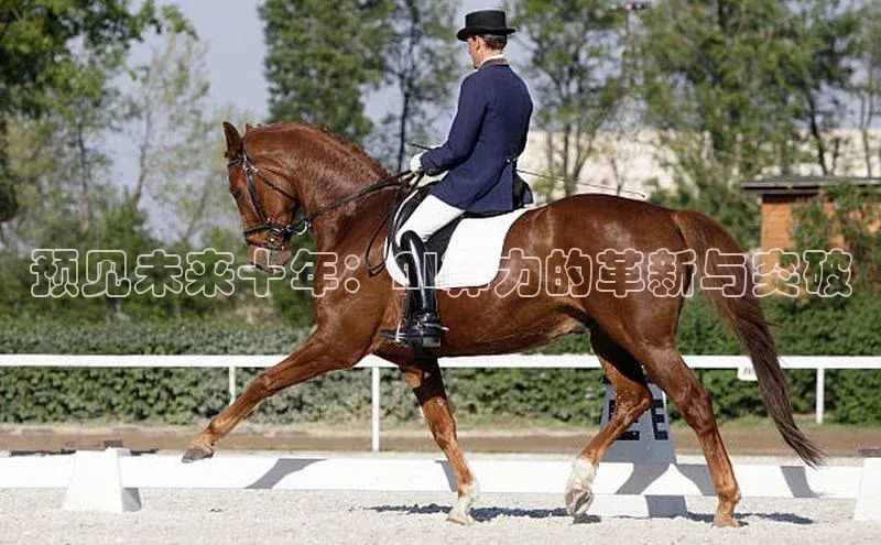 28圈注册网页版